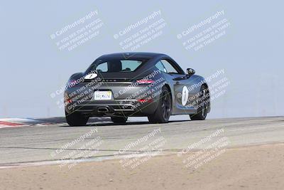 media/Nov-01-2025-PCA Central Coast (Sat) [[5e27ded23e]]/White Group/Grapevine/